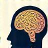 Illustration representing expert knowledge